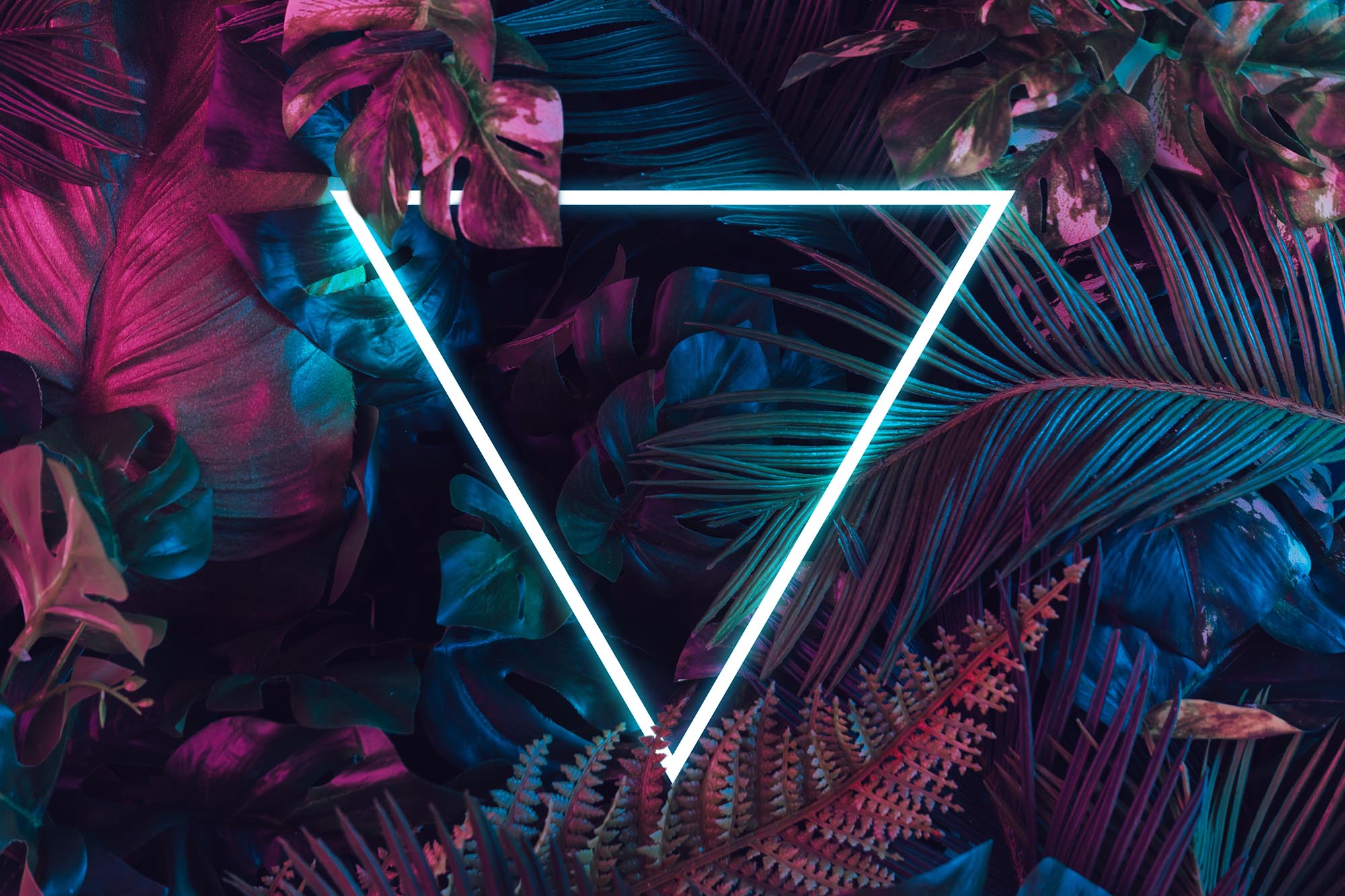 Creative fluorescent color layout made of tropical leaves with neon triangle in the center