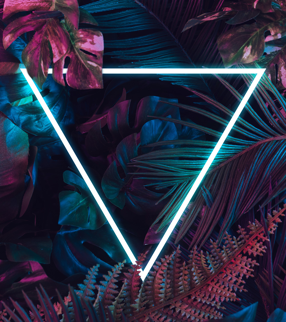 Creative fluorescent color layout made of tropical leaves with neon triangle in the center cropped