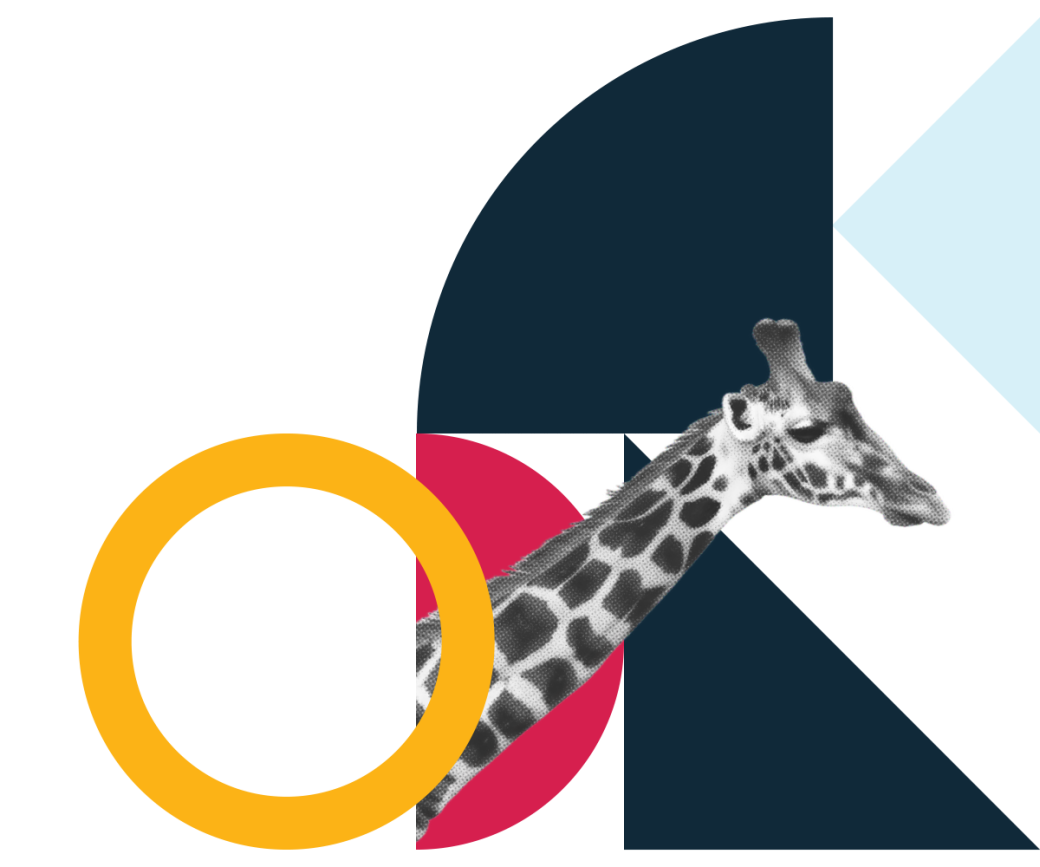 Giraffe inside geometric shapes